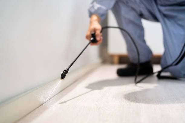 Licensed Fumigation Services service in Taylor Lake Village, TX - Nex Pest Control