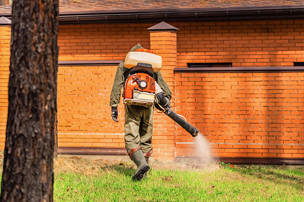 Trusted Fumigation Services service in Taylor Lake Village, TX - Nex Pest Control
